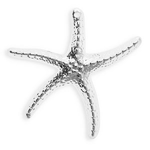 Acrylic charms starfish Silver