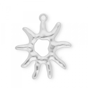 Statement charms sun Silver