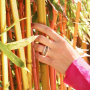 Get inspired by the botanical jewellery trend and design stylish jewellery 
