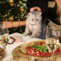 Jewellery inspiration with jewellery for the holidays