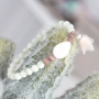 With these shell pearls you can make the most beautiful jewellery for this summer